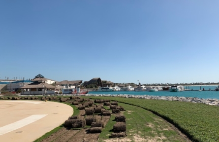 Fytofoam - Flake application Fytofoam - Flake application - Water saving testing