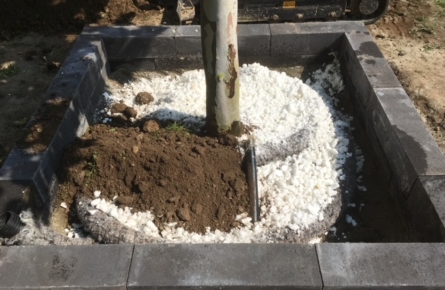 Tree planting with Fytocell® Tree planting with Fytocell® Fytocell in lawns and gardens