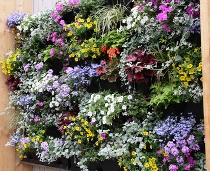 minigardenbloemenwand3 Fytocell product info Plantenwand Pro en Fytocell®