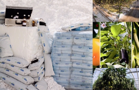 Fytocell® Hydroponic growing - Fytocell product info