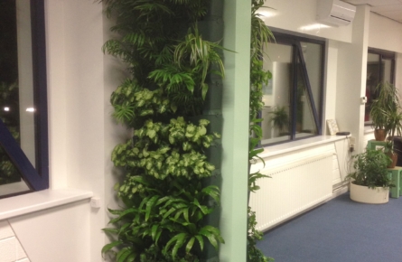 Fytocell®- Plantwall - The vertical green company Fytocell®- Plantwall - The vertical green company