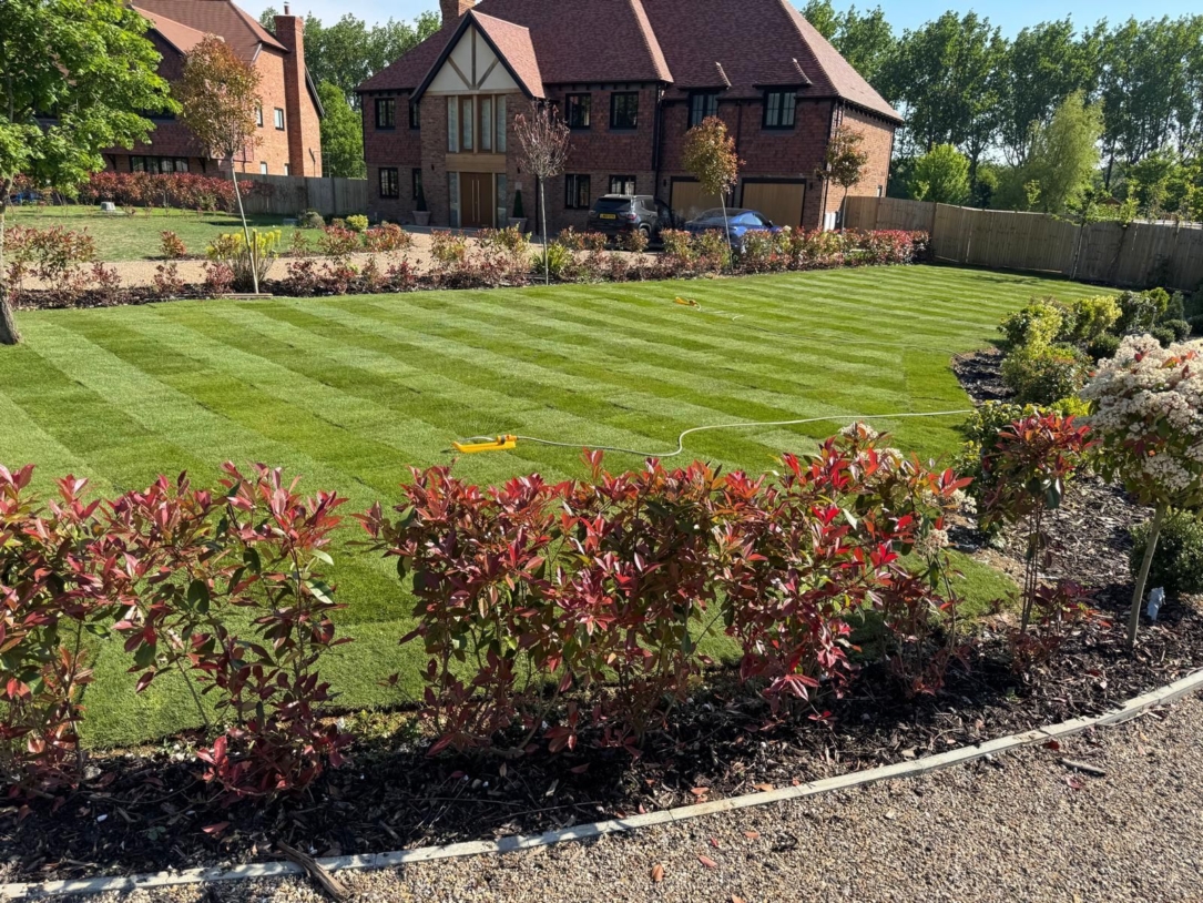 New turf was laid in place of the damaged lawn